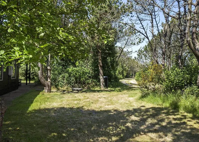 982-thisted-clemmessti-16 *